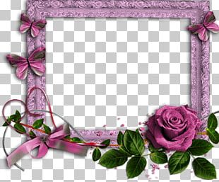 Rose Frames PNG, Clipart, Artificial Flower, Border Frames, Circle, Cut ...