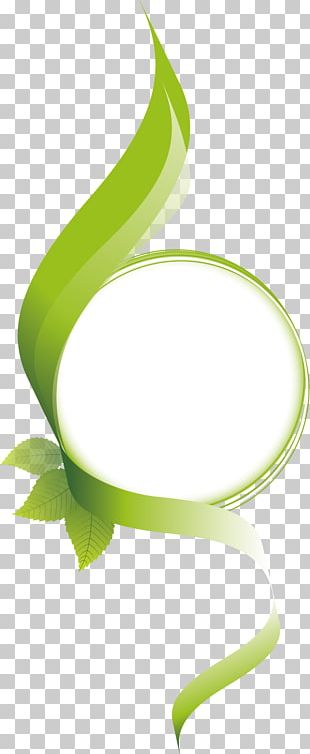 Green Text Box PNG, Clipart, Angle, Area, Background Green, Box, Box ...