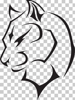 Black Panther Photography Cougar Drawing PNG, Clipart, Black, Black And ...