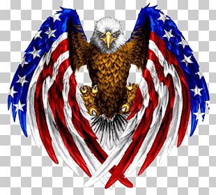 Bald Eagle Flag Of The United States Gadsden Flag PNG, Clipart, Bald ...