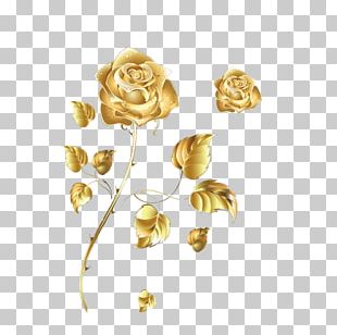 Beach Rose Golden Rose Color PNG