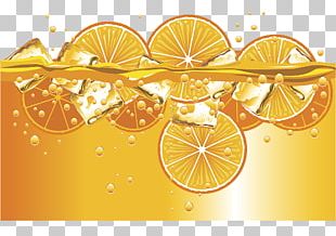 Orange Juice Soft Drink Soda Bubble PNG