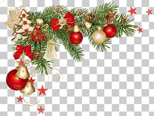 Christmas Decoration Santa Claus PNG, Clipart, Aquifoliaceae, Branch ...