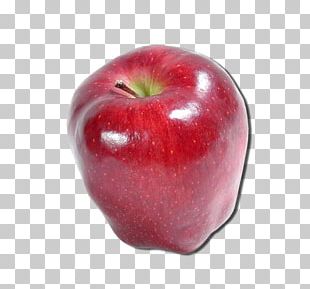 Apple Malus Sylvestris Tree PNG, Clipart, Apple, Apples, Apple Tree ...