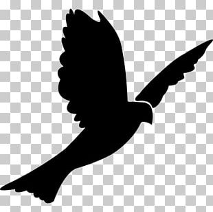 Flying Dove PNG, Clipart, Animals, Birds, Pigeons And Doves Free PNG ...