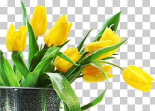 Artificial Flower Tulip Desktop PNG