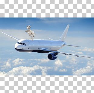 Airplane Fixed-wing Aircraft Flight Aviation PNG