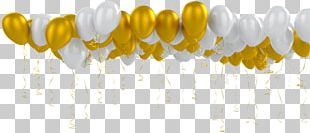 Kiev Toy Balloon Wedding Holiday PNG