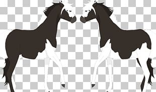 Mustang Foal Stallion Colt Donkey PNG