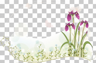 Flower Frame Floral Frame PNG