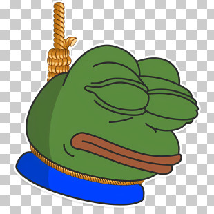 Meme - Sad Frog Meme With Rope PNG