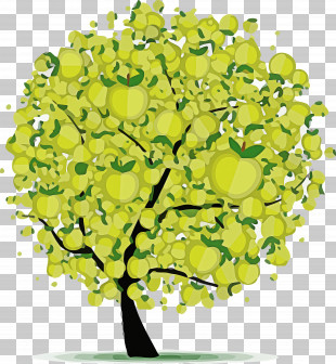 Green Plant Yellow Flower Tree PNG