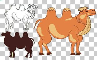 Camel Silhouette Illustration PNG