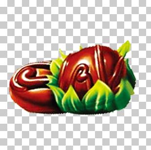 Chocolate Milk Lollipop Candy PNG