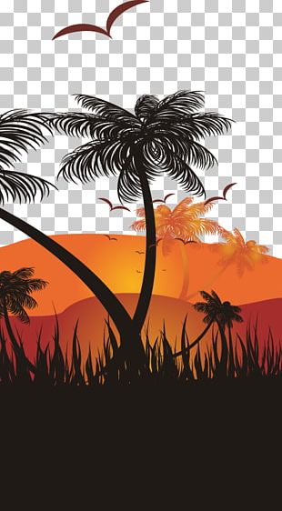 Sunset Graphic Design Illustration PNG