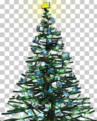 Christmas Tree Christmas Ornament Spruce PNG