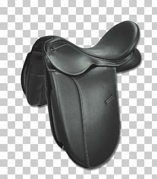 Saddle Fitting Dressage Equestrian Horse PNG