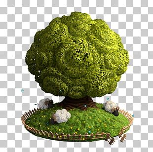 Tree 3D Computer Graphics PNG
