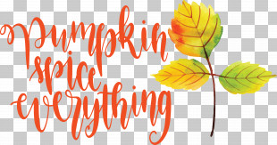 Pumpkin Spice Everything Pumpkin Thanksgiving PNG