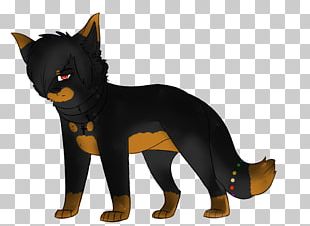 Australian Kelpie Cat Whiskers Bernese Mountain Dog Dog Breed PNG