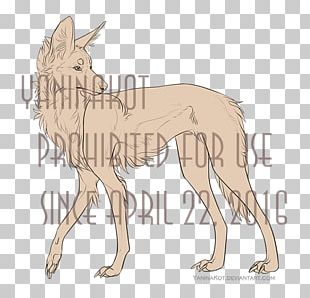 Dog Breed Maned Wolf Line Art PNG