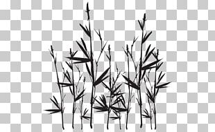 Line Art Tropical Woody Bamboos Silhouette PNG