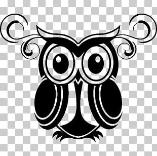 Owl Wall Decal Sticker PNG