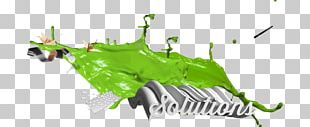Web Development Web Design Green Chameleon Ltd PNG
