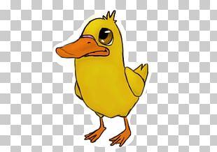 Donald Duck Daisy Duck Baby Ducks Drawing PNG