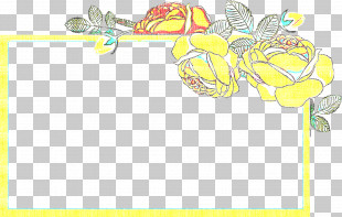 Flower Rectangular Frame Floral Rectangular Frame PNG