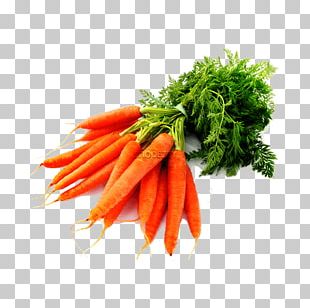 Carrot Seed Oil Vegetable Carrot Juice PNG