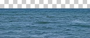 Cetacea Porpoise Sea Inlet Water Resources PNG