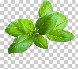 Italian Cuisine Basil Bruschetta Herb Oil PNG