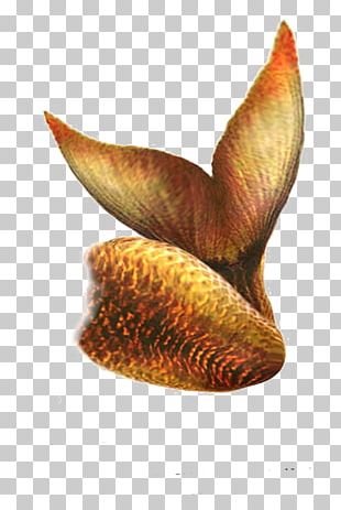 Mermaid Drawing PNG