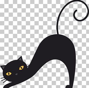 Kwazii Cat PNG, Clipart, At The Movies, Cartoons, Octonauts Free PNG ...