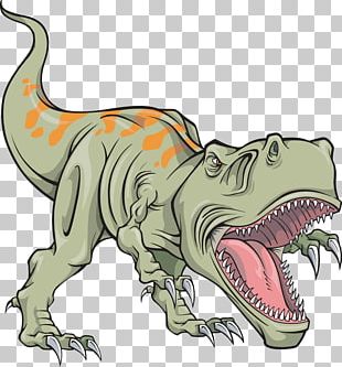 Dinosaurer Triceratops Tyrannosaurus Stegosaurus PNG, Clipart ...