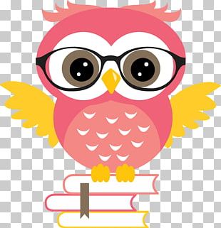 Owl Bird Desktop PNG
