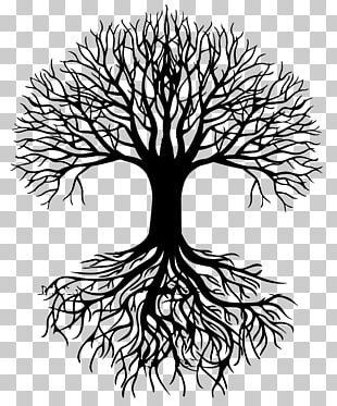 Drawing Photography Tree Of Life PNG, Clipart, Free PNG Download