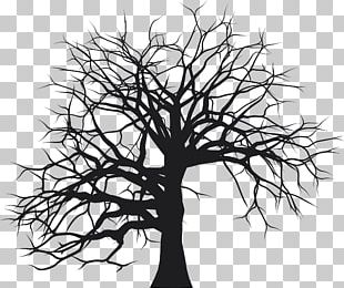 Tree Silhouette Drawing PNG, Clipart, Black And White, Branch, Drawing ...