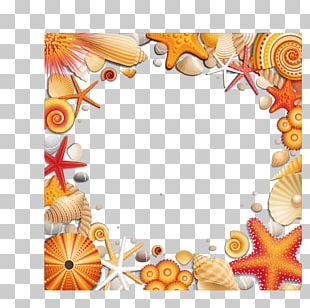 Shells Starfish Border PNG, Clipart, Border, Border Clipart, Shells ...