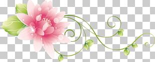 Flower Floral Design Blog Floristry PNG, Clipart, Blog, Blossom, Blue ...