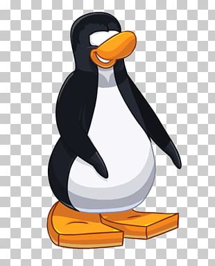 club pinguino dating online