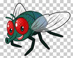 Cartoon Fly PNG Images, Cartoon Fly Clipart Free Download