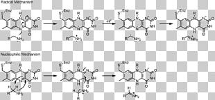 Flavin Adenine Dinucleotide Flavin Group Flavoprotein Redox Monoamine Oxidase PNG