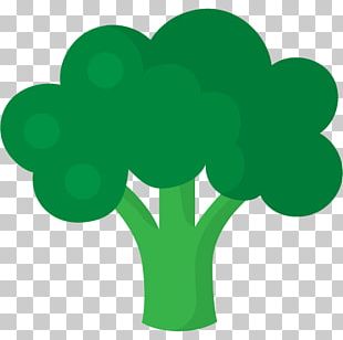Vegetable Broccoli Food Cabbage PNG