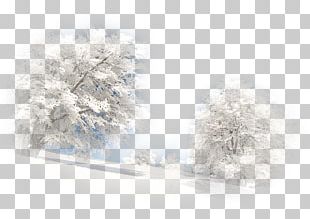 Landscape Winter Paysage D'hiver Desktop PNG