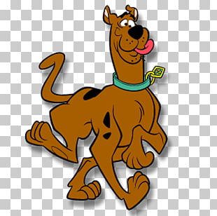 Daphne Blake Velma Dinkley Shaggy Rogers Scooby-Doo Cartoon PNG ...