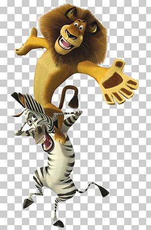 Moto Moto Madagascar 2, HD Png Download - 735x420 PNG 