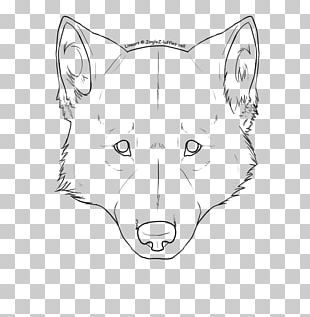 Gray Wolf Drawing Snarl Art Sketch PNG, Clipart, Animal, Animals, Arrow ...