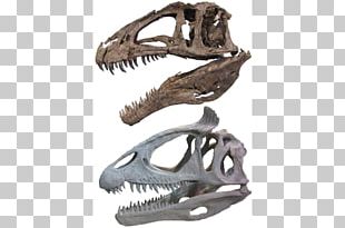 Neural Spine Sail, Shantungosaurus, deinosuchus, kaprosuchus